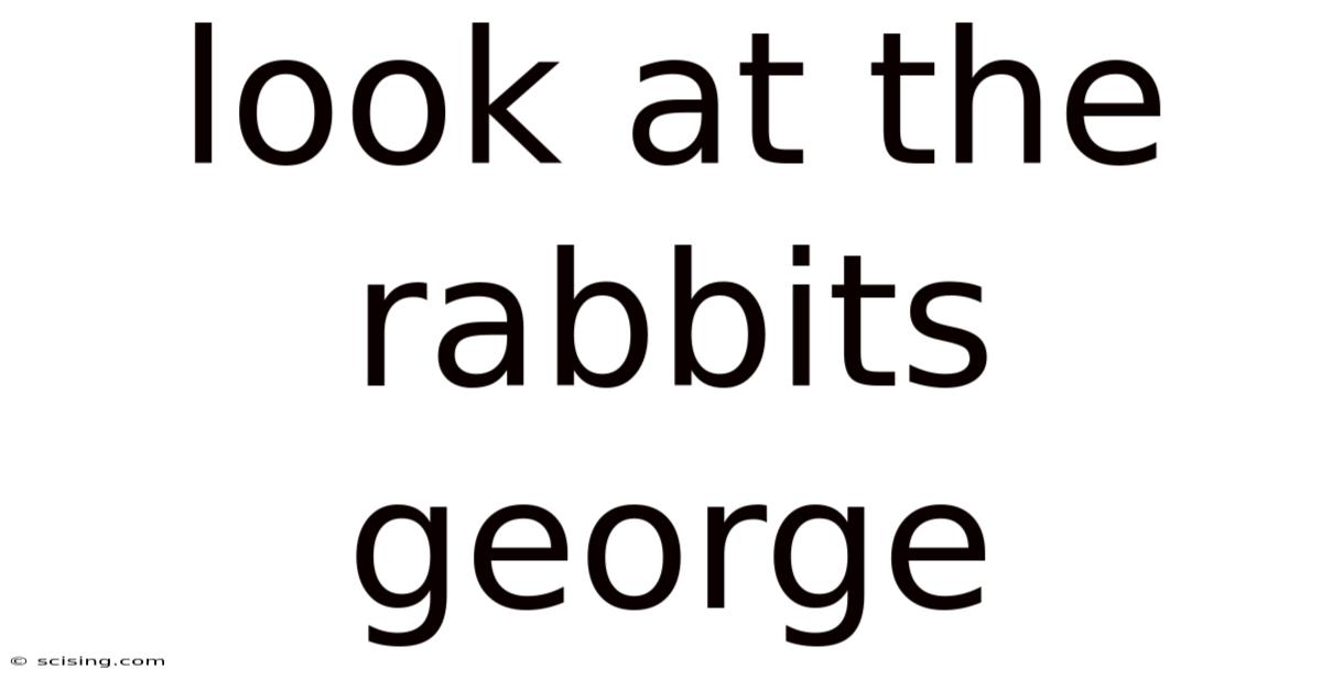 Look At The Rabbits George