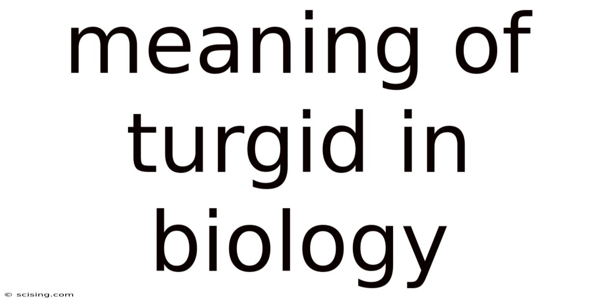Meaning Of Turgid In Biology