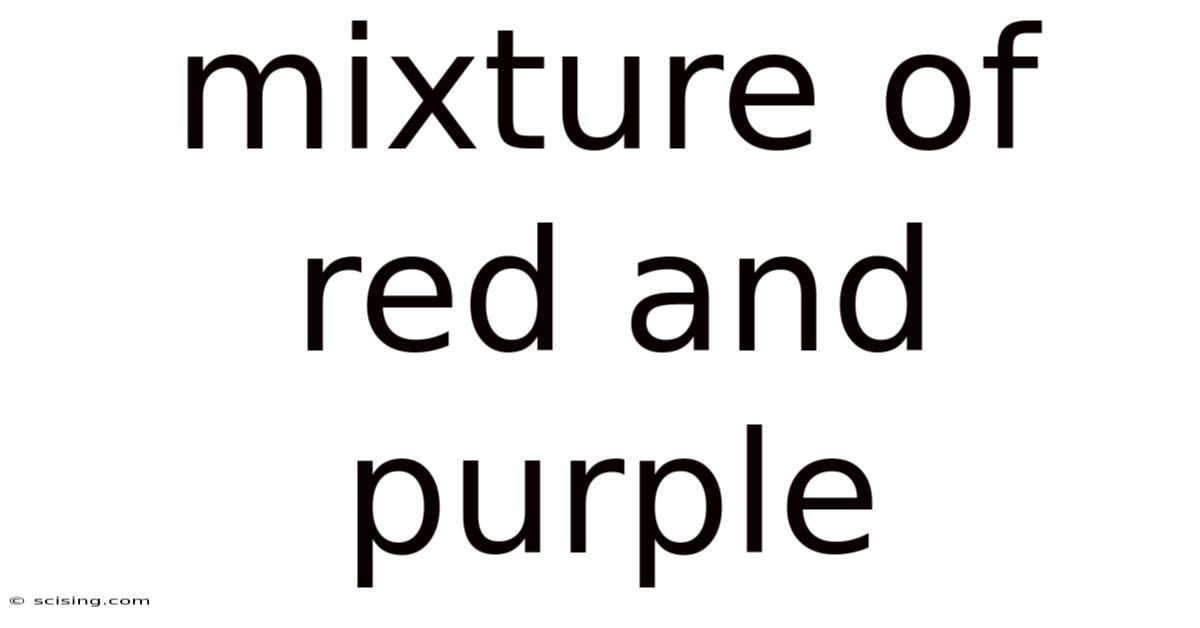 Mixture Of Red And Purple