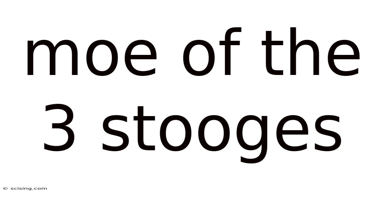 Moe Of The 3 Stooges