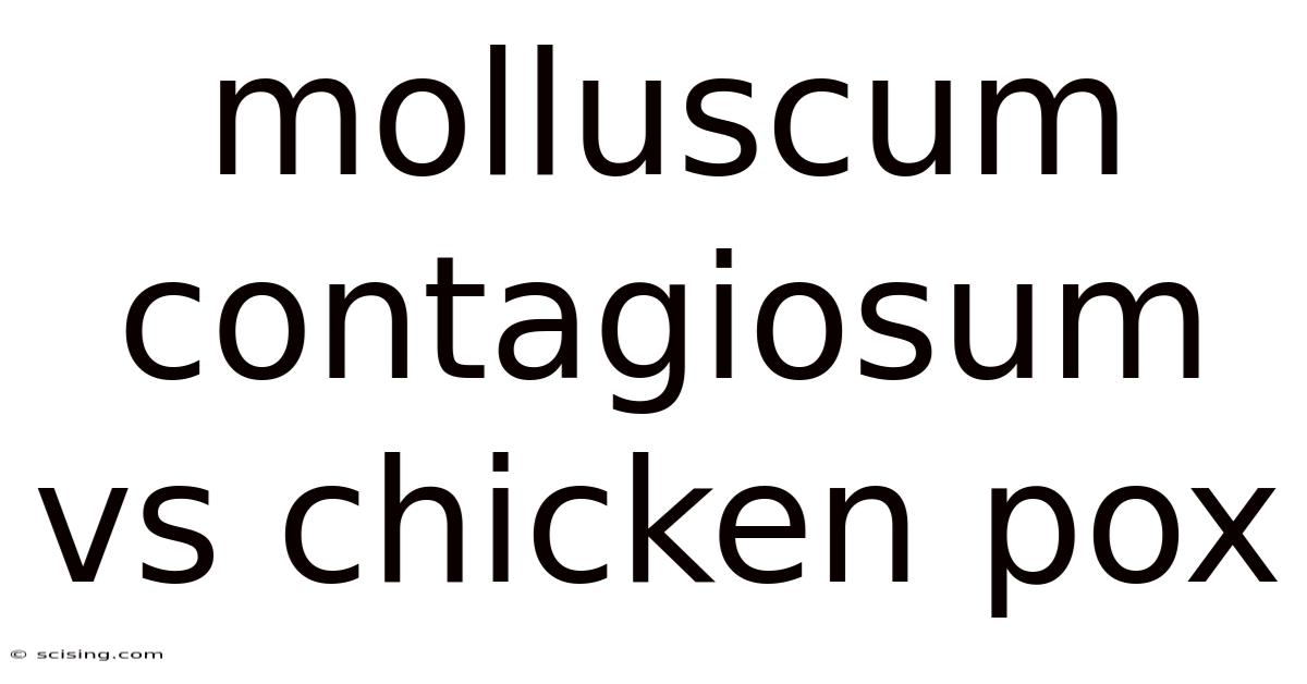 Molluscum Contagiosum Vs Chicken Pox