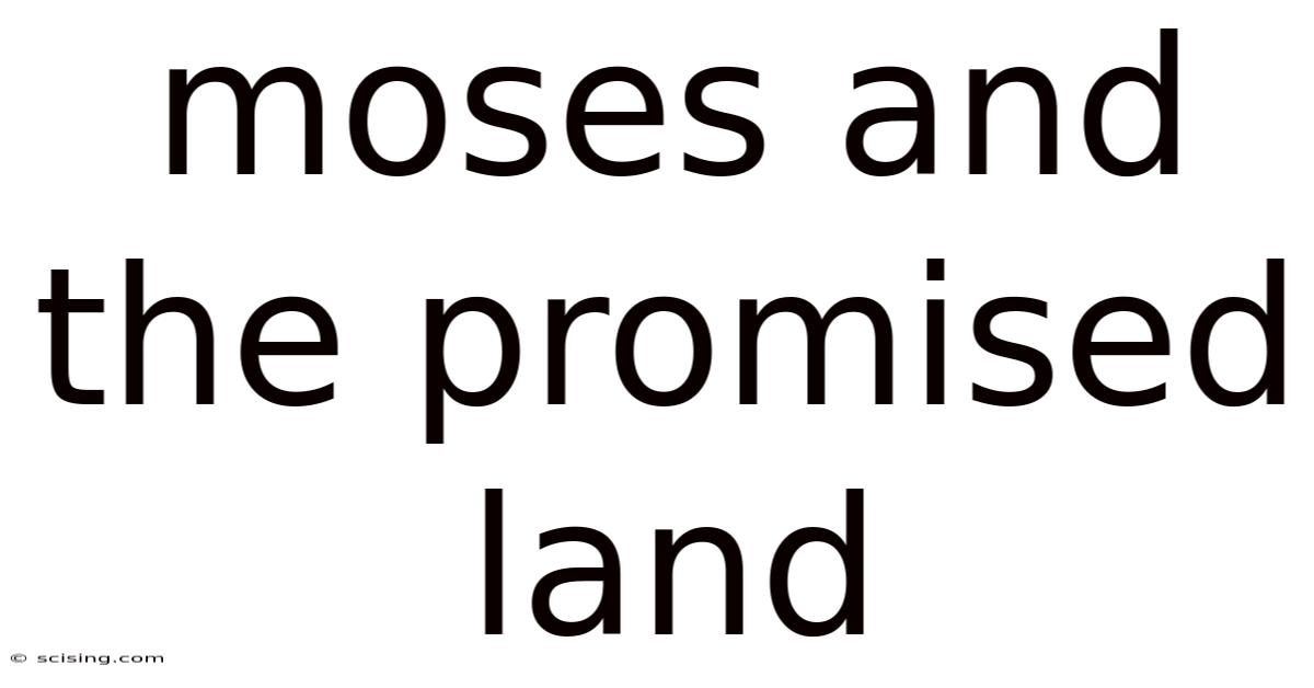Moses And The Promised Land