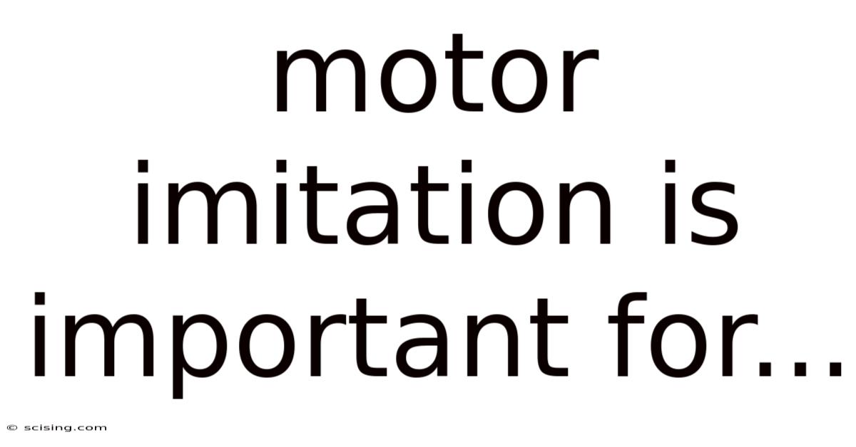 Motor Imitation Is Important For...
