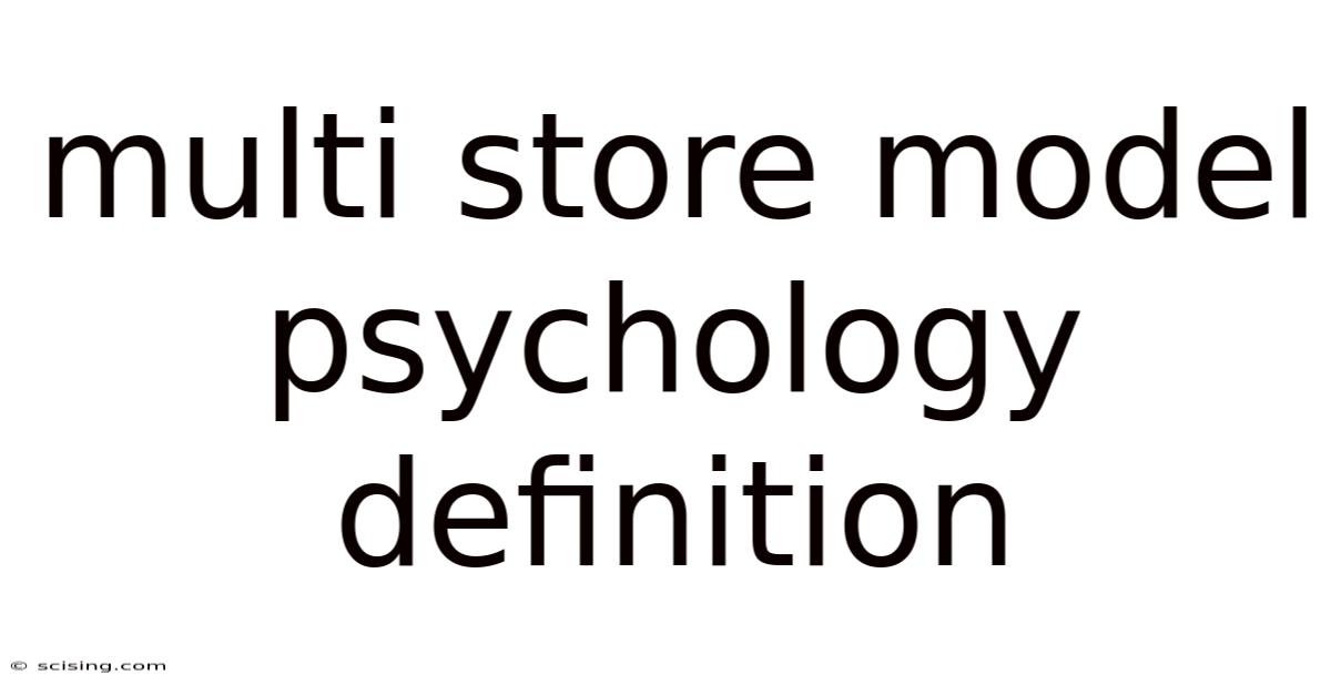 Multi Store Model Psychology Definition