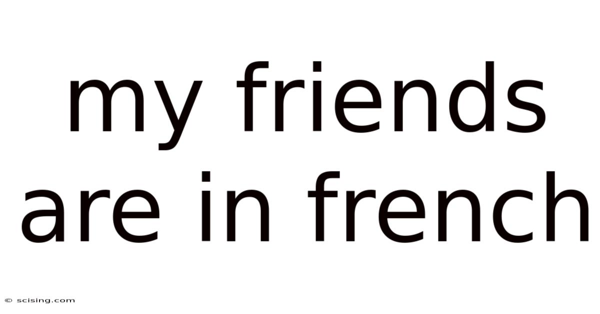 My Friends Are In French