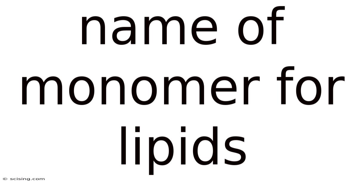Name Of Monomer For Lipids