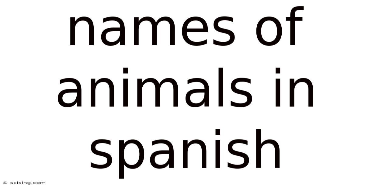 Names Of Animals In Spanish