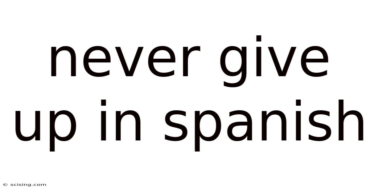 Never Give Up In Spanish