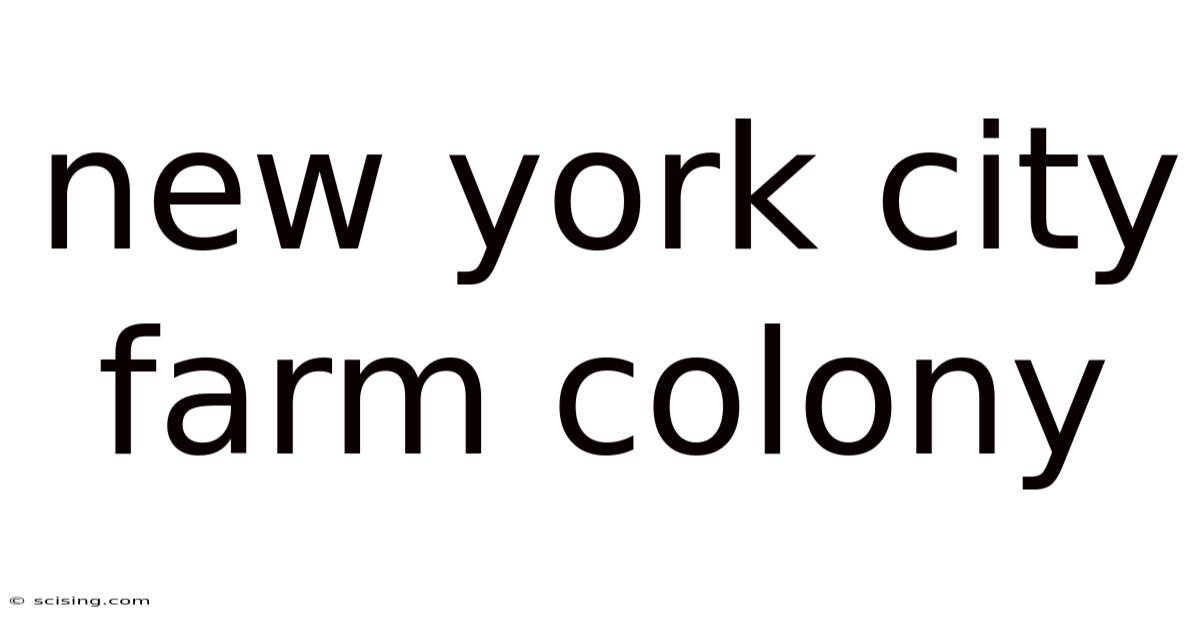 New York City Farm Colony