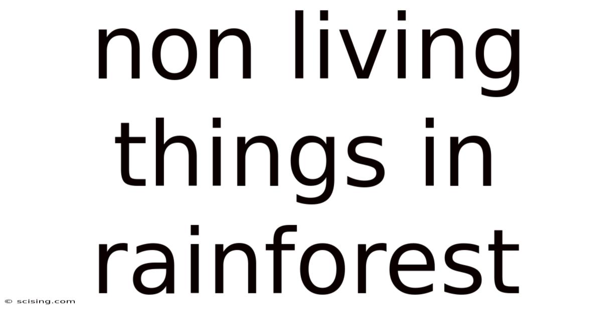 Non Living Things In Rainforest