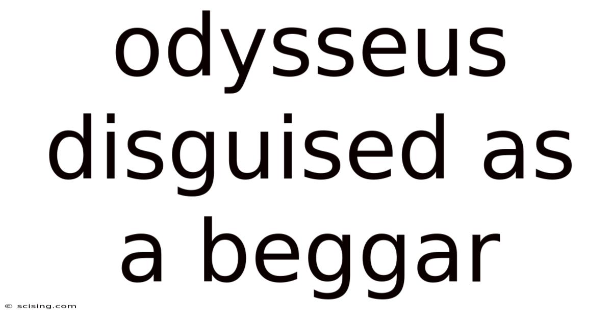 Odysseus Disguised As A Beggar