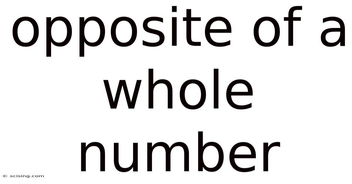 Opposite Of A Whole Number