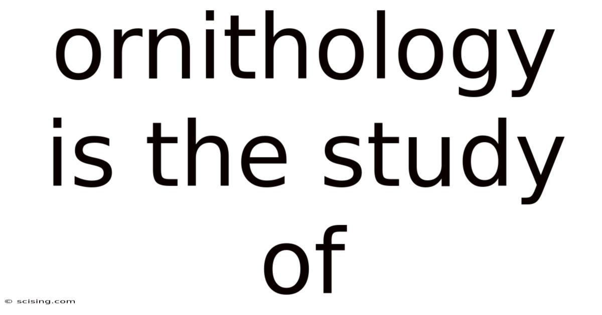 Ornithology Is The Study Of
