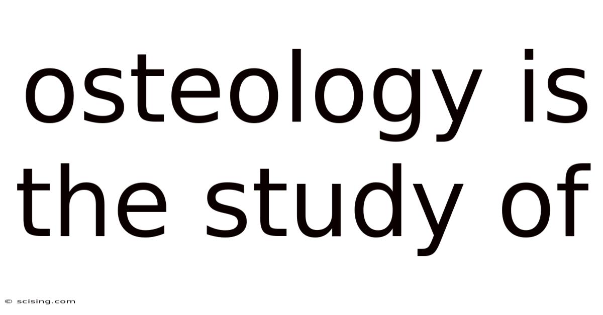 Osteology Is The Study Of