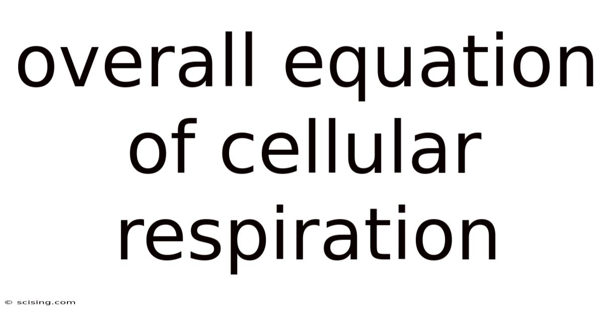 Overall Equation Of Cellular Respiration