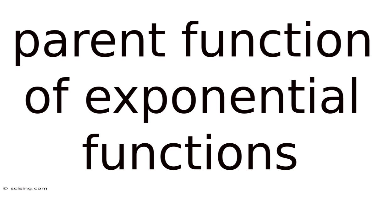 Parent Function Of Exponential Functions