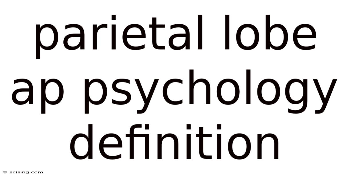 Parietal Lobe Ap Psychology Definition