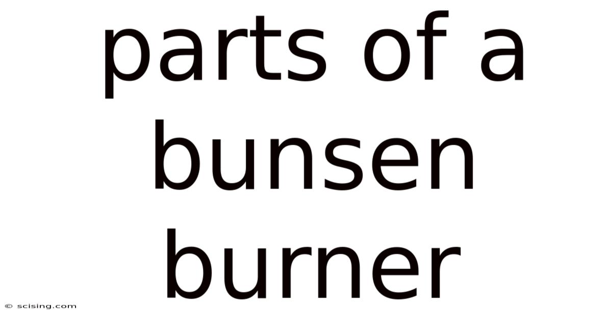 Parts Of A Bunsen Burner