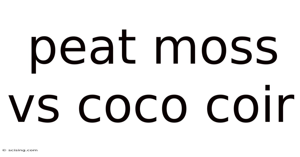 Peat Moss Vs Coco Coir