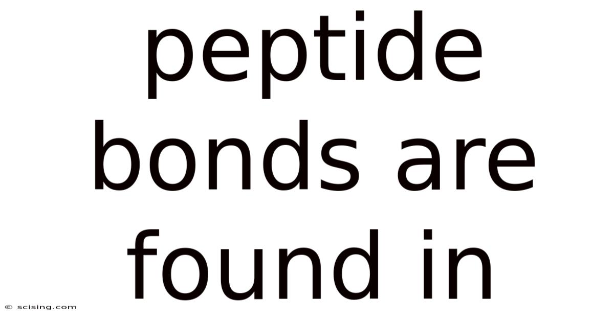 Peptide Bonds Are Found In