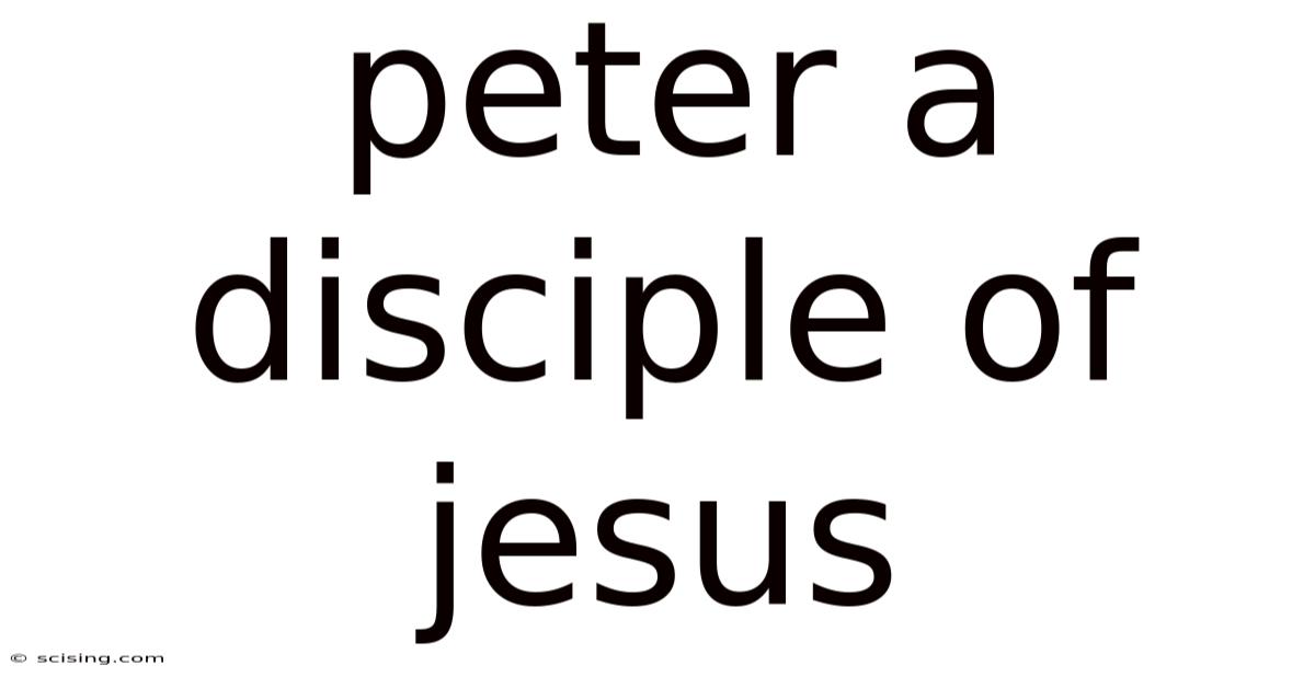 Peter A Disciple Of Jesus
