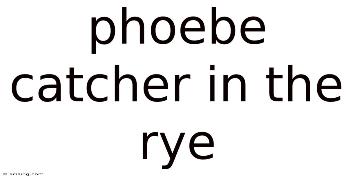 Phoebe Catcher In The Rye