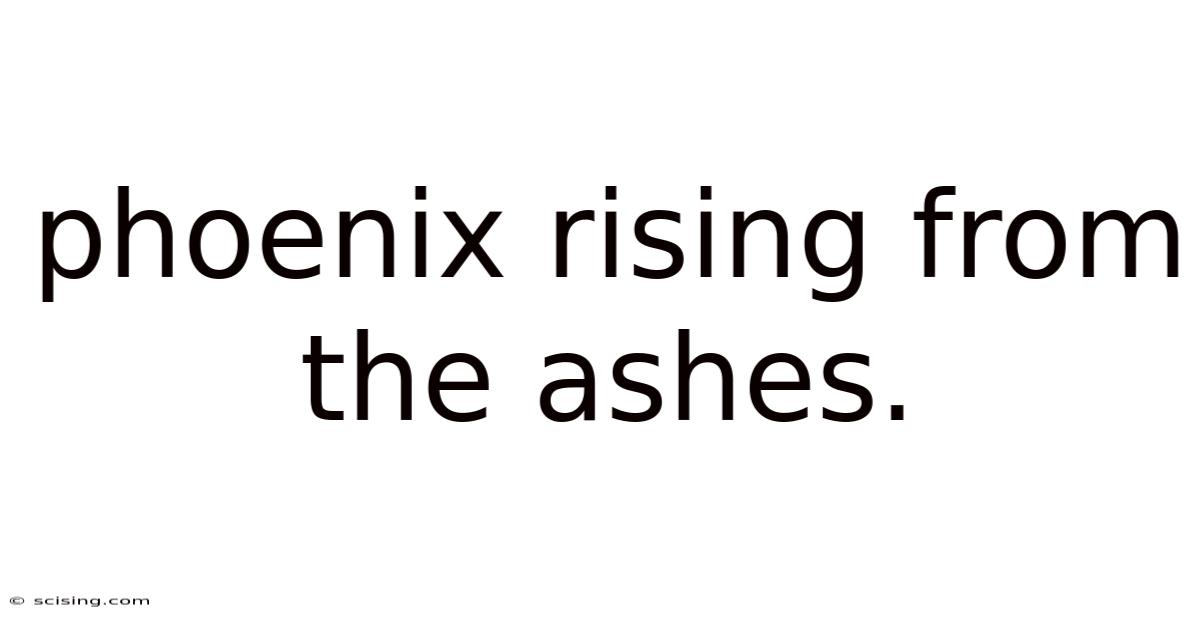 Phoenix Rising From The Ashes.