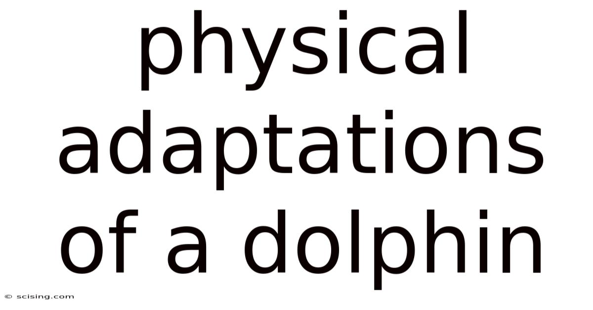 Physical Adaptations Of A Dolphin