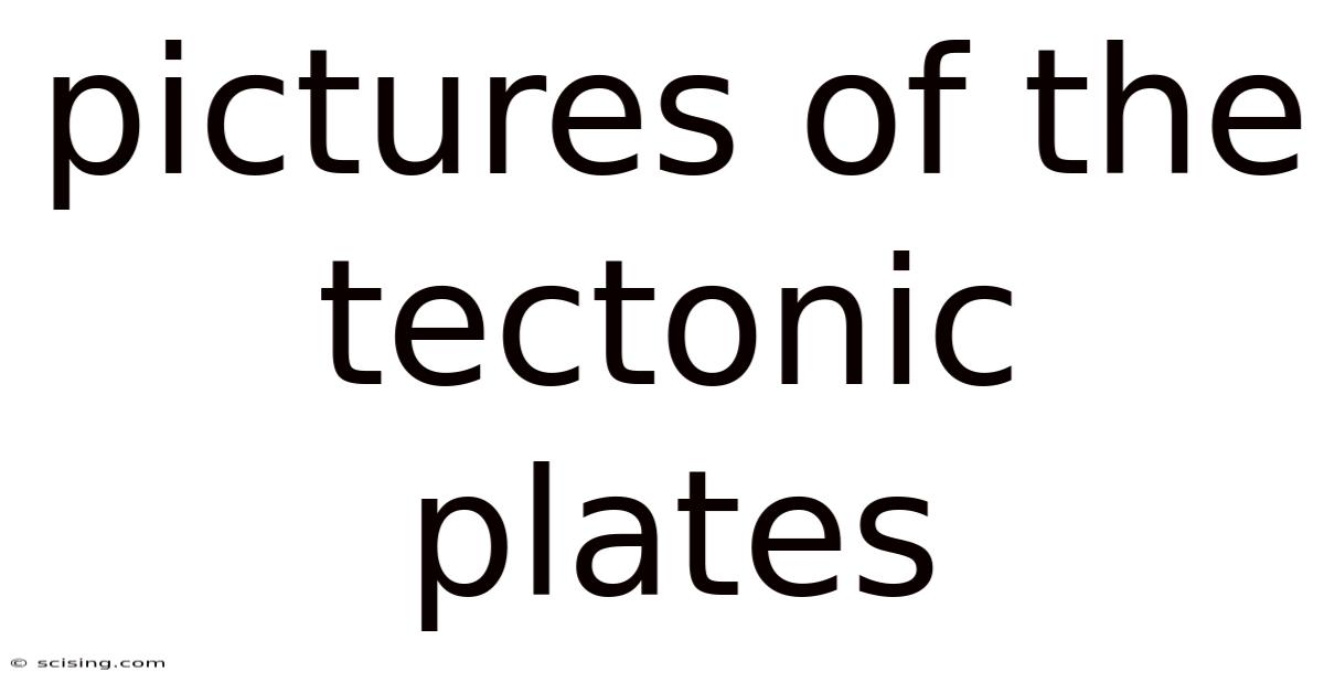 Pictures Of The Tectonic Plates
