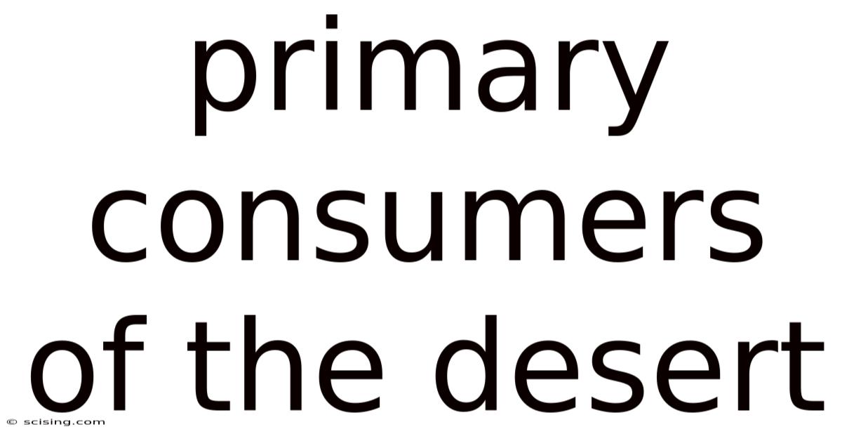 Primary Consumers Of The Desert
