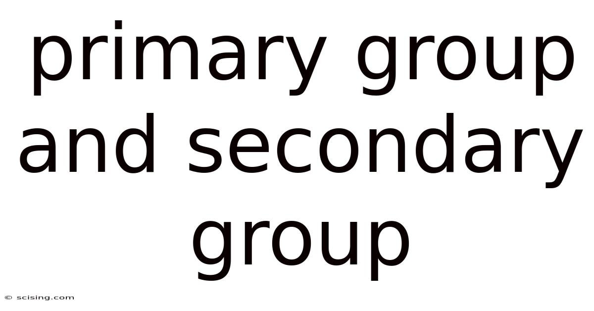 Primary Group And Secondary Group
