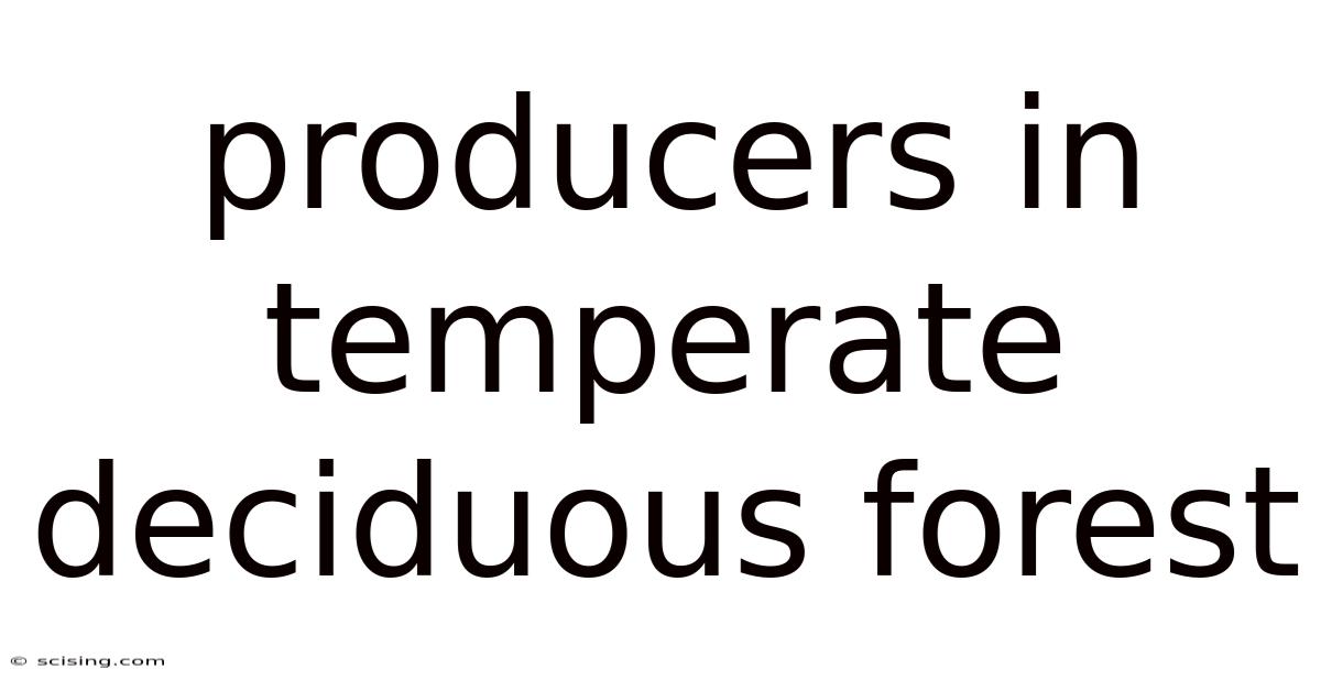 Producers In Temperate Deciduous Forest