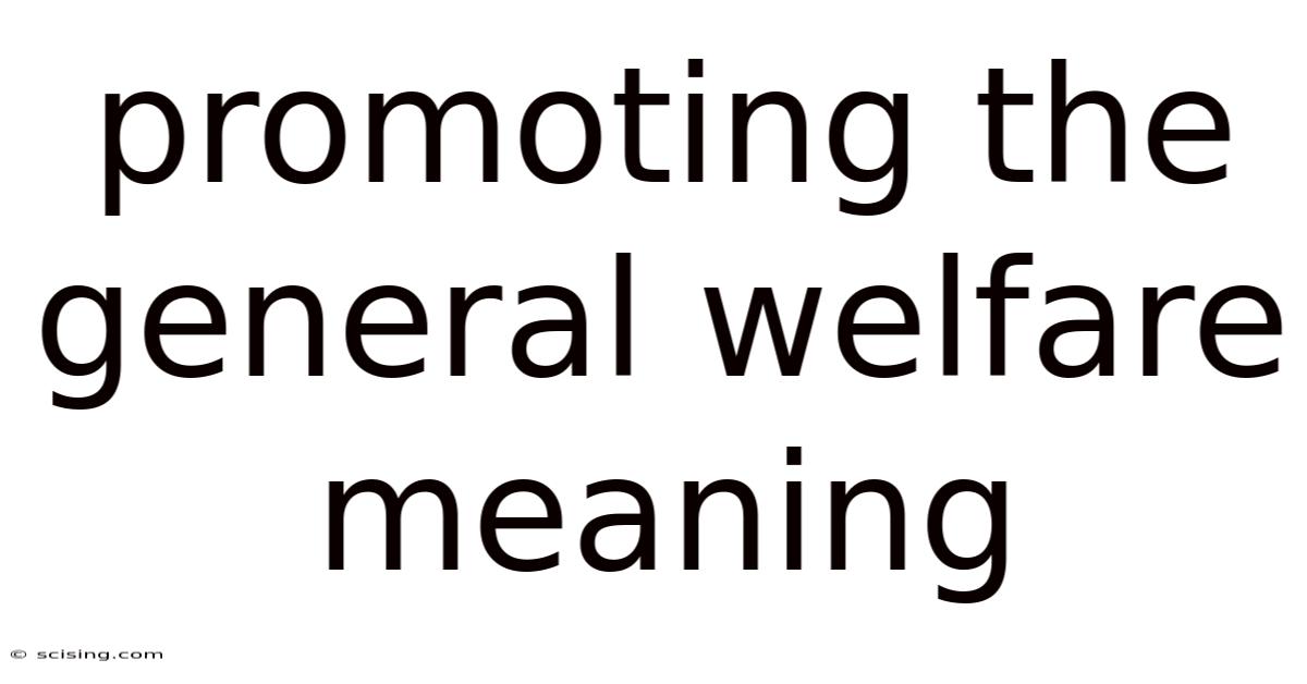 Promoting The General Welfare Meaning