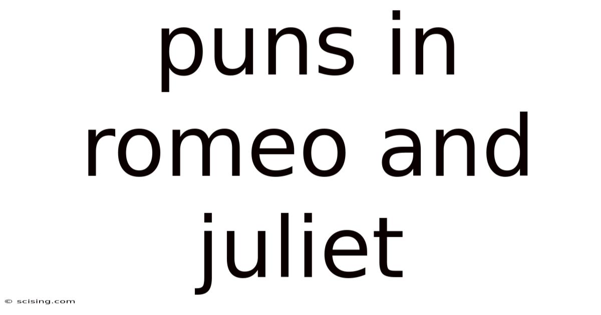 Puns In Romeo And Juliet