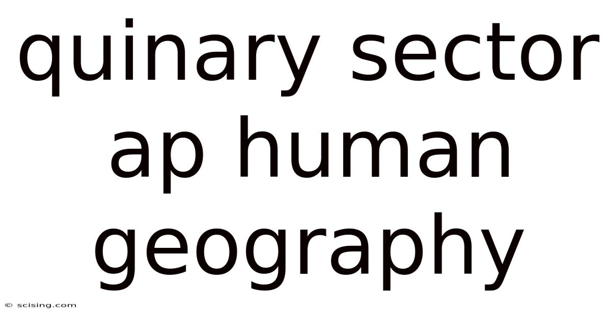 Quinary Sector Ap Human Geography