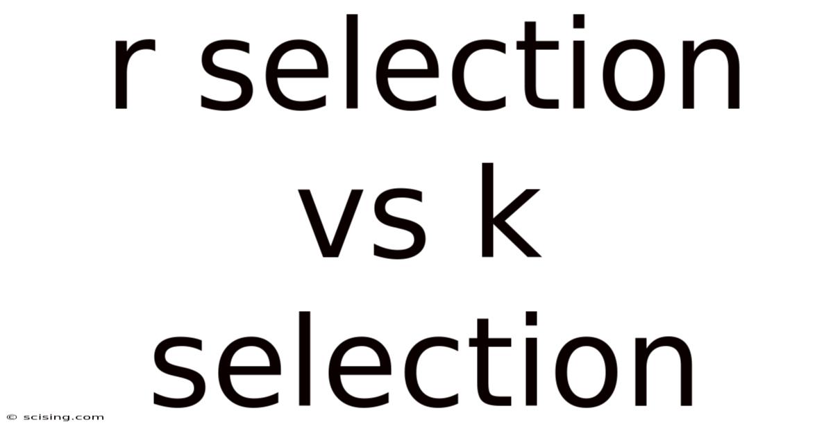 R Selection Vs K Selection