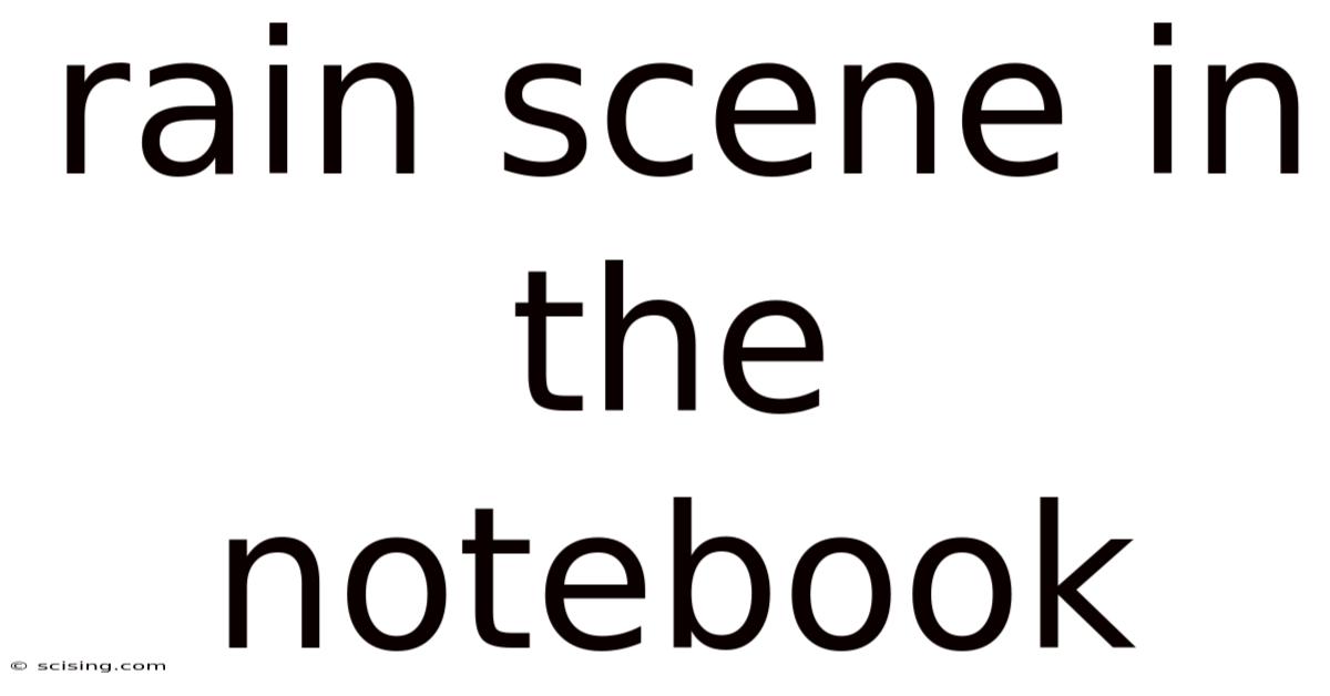 Rain Scene In The Notebook