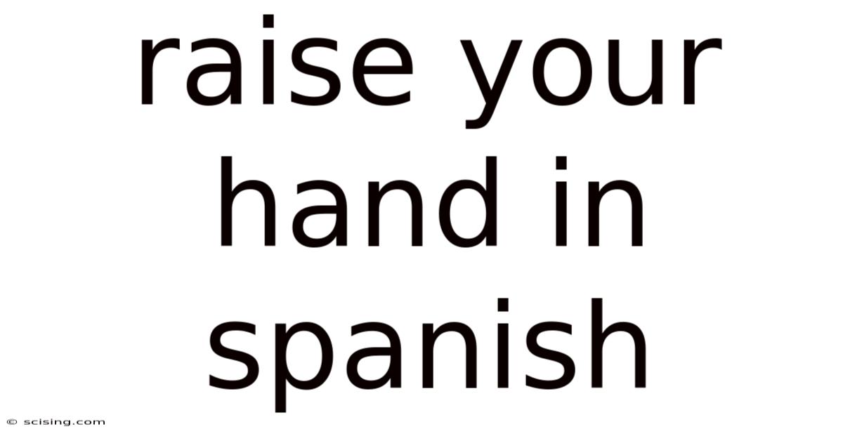 Raise Your Hand In Spanish