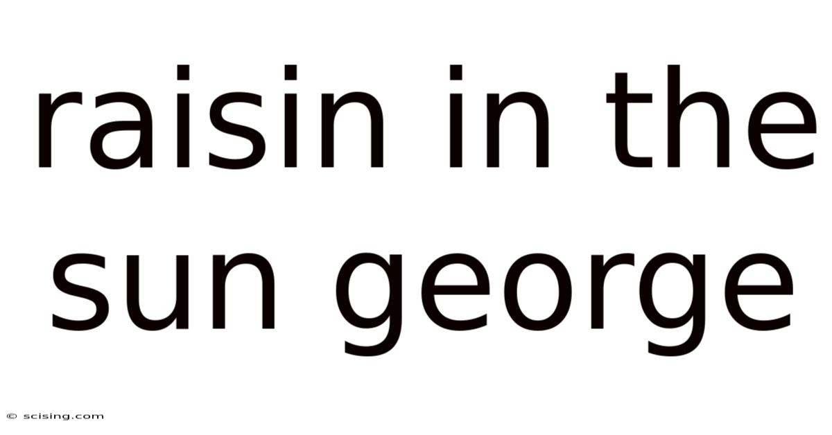 Raisin In The Sun George