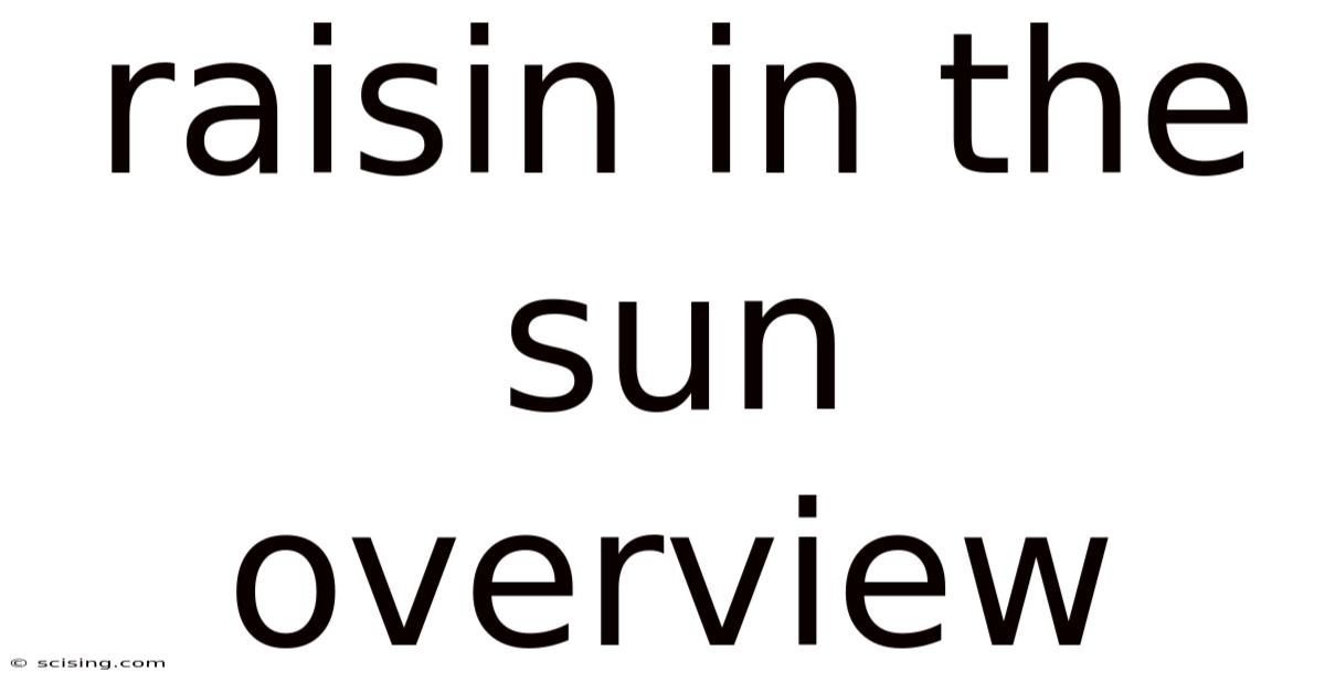Raisin In The Sun Overview