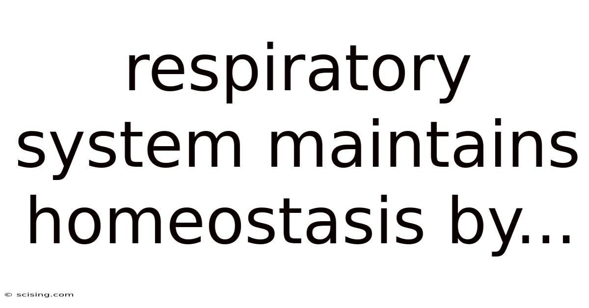 Respiratory System Maintains Homeostasis By...