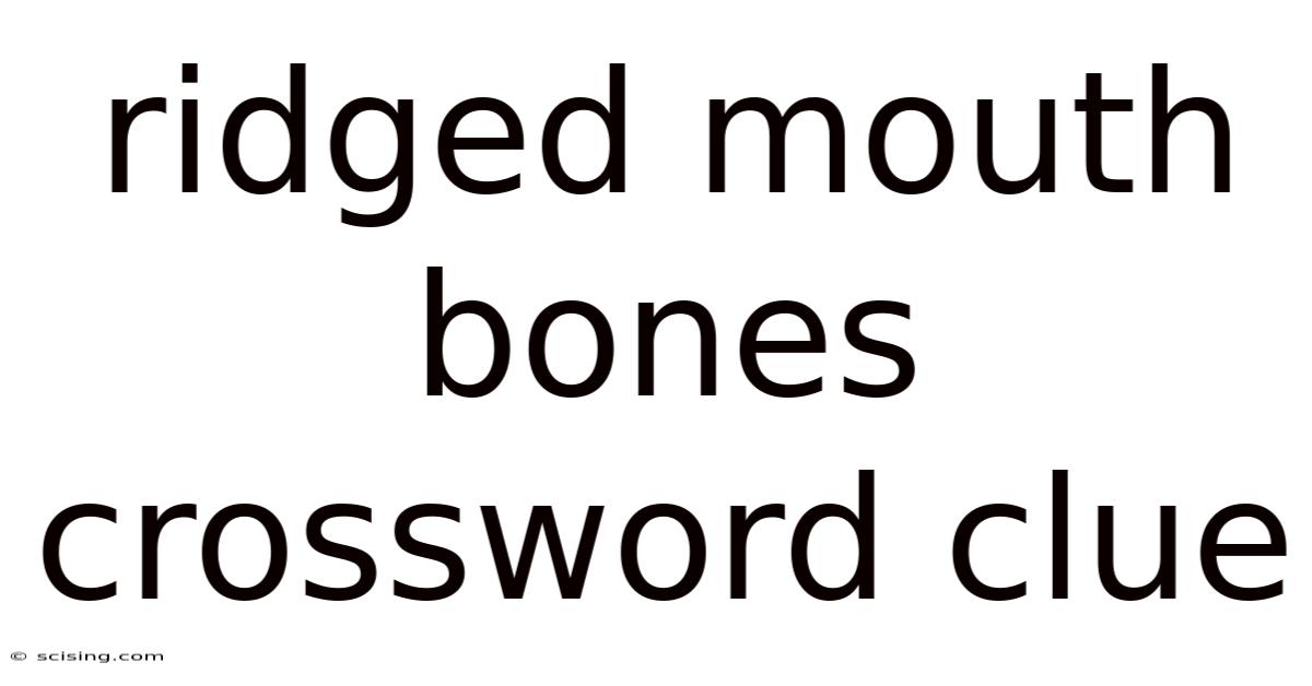 Ridged Mouth Bones Crossword Clue