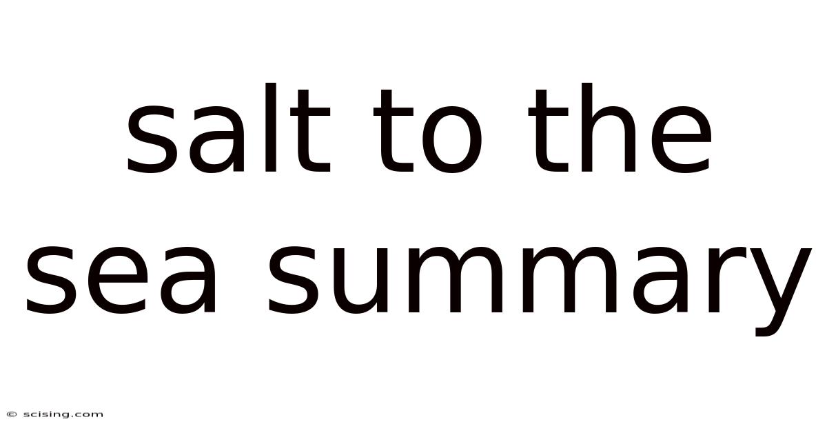 Salt To The Sea Summary
