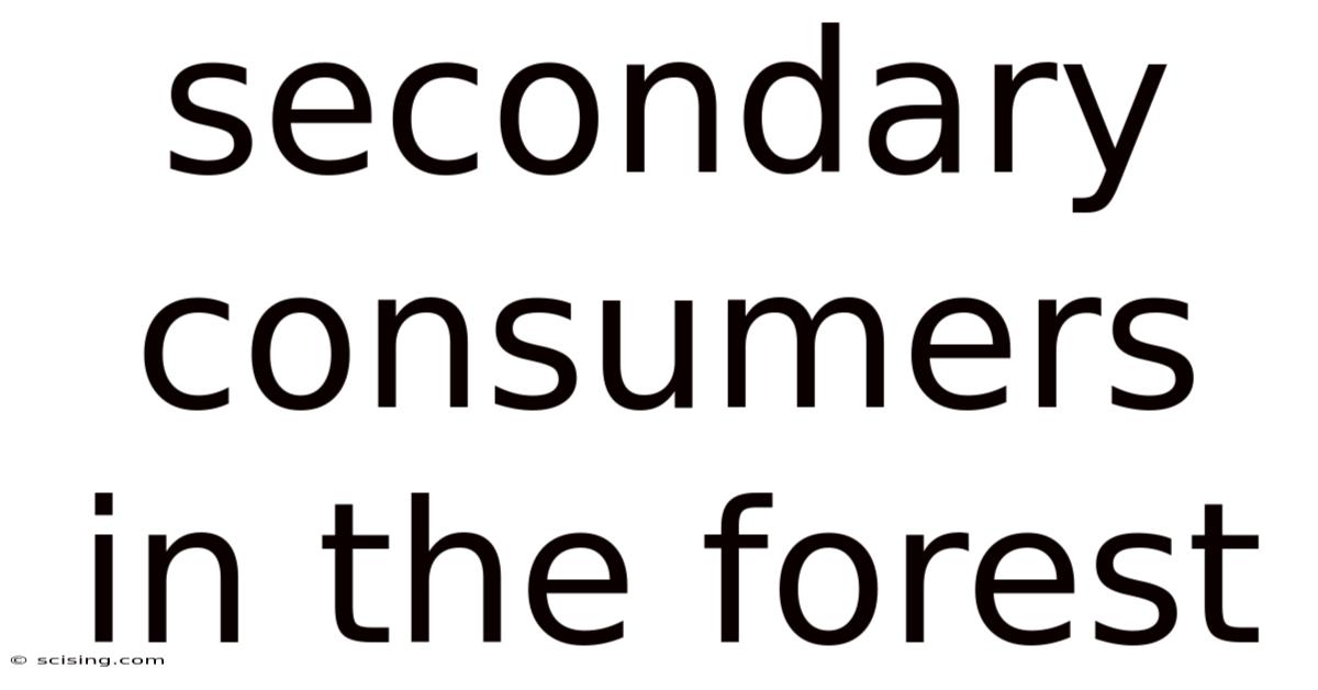 Secondary Consumers In The Forest