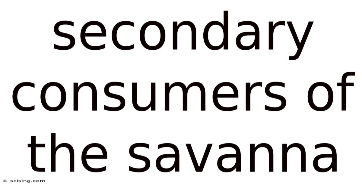 Secondary Consumers Of The Savanna