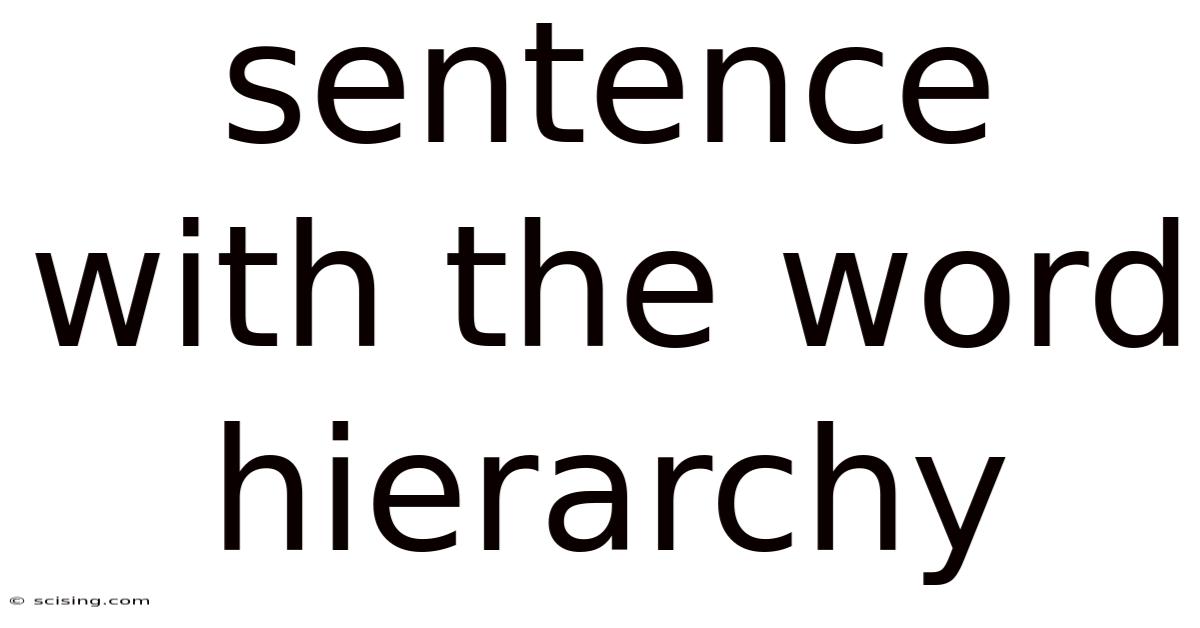 Sentence With The Word Hierarchy