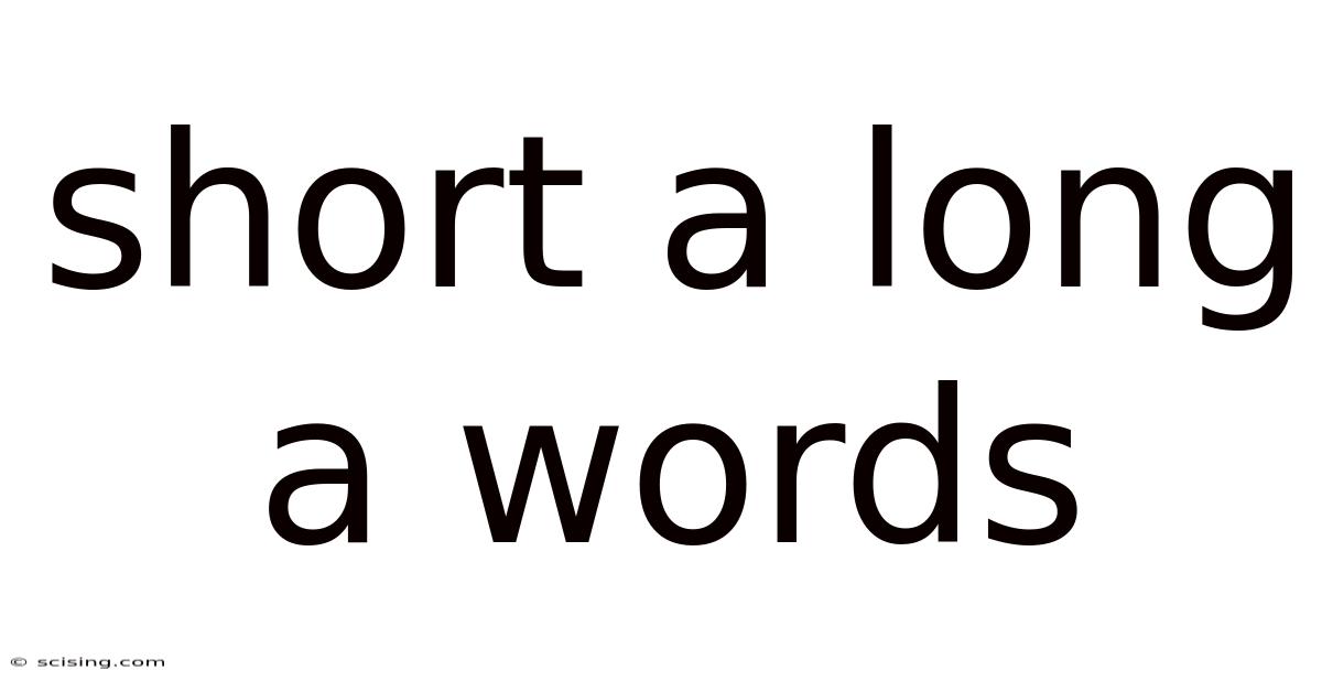 Short A Long A Words