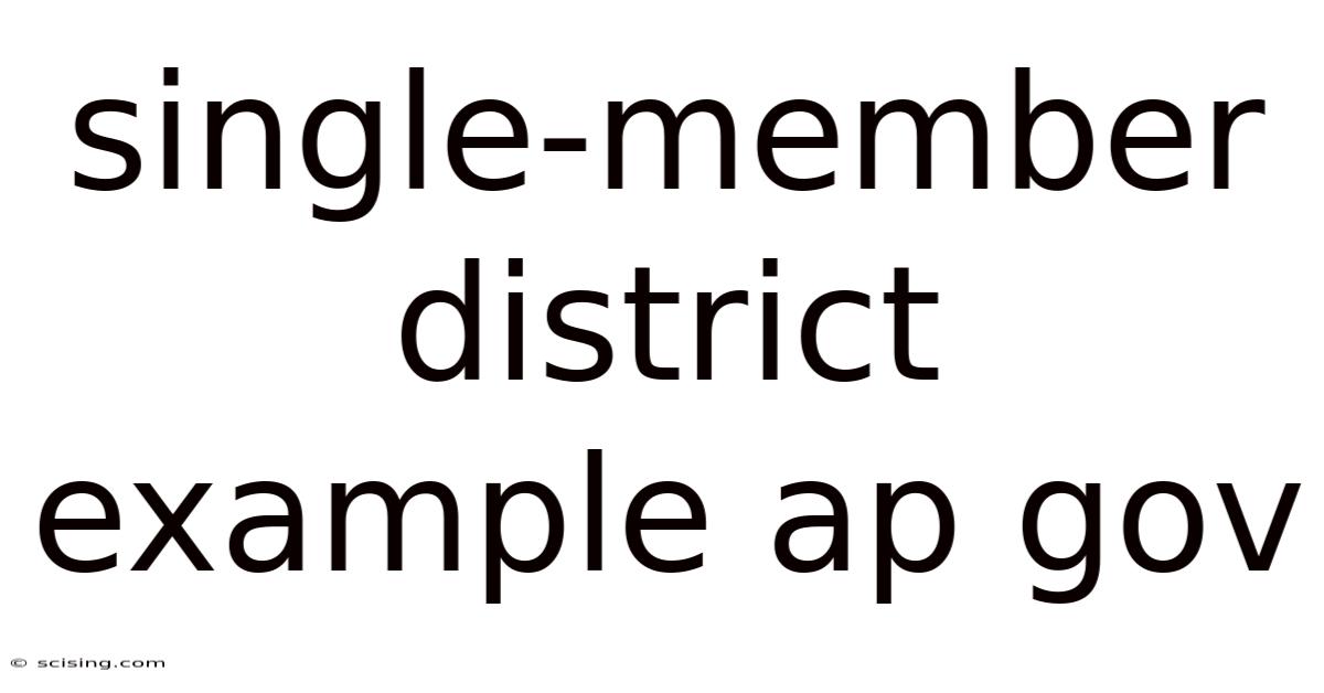 Single-member District Example Ap Gov