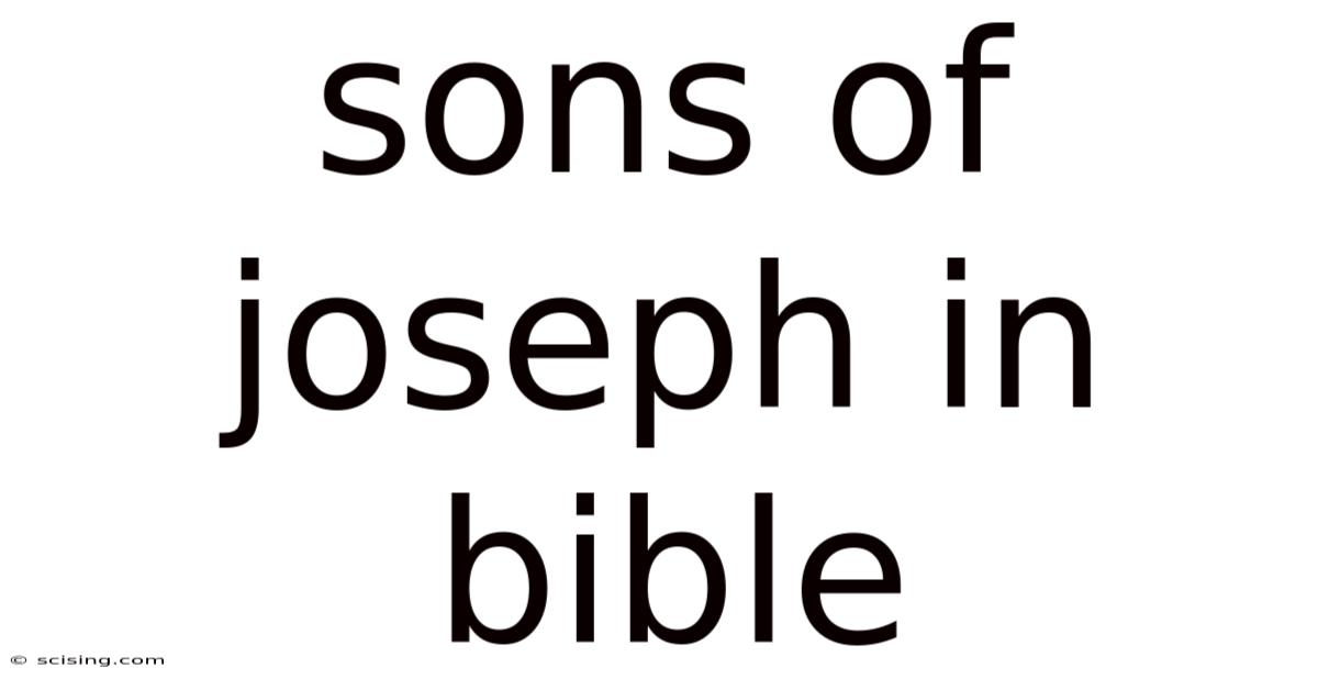 Sons Of Joseph In Bible