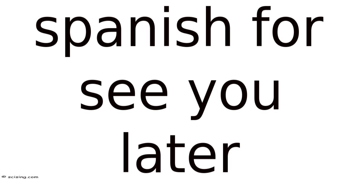 Spanish For See You Later